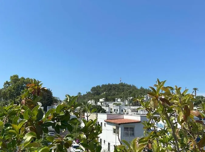 Casa Tua Butik * Αλικαρνασσός