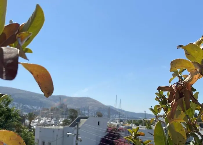 Otel Casa Tua Butik *