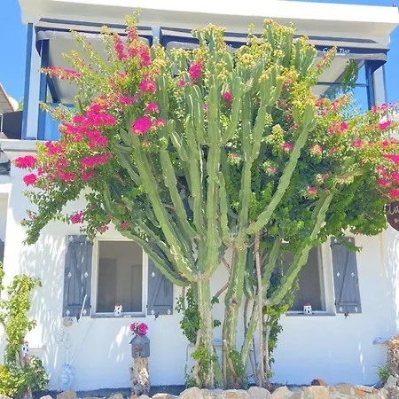 호텔 Casa Tua Butik Bodrum