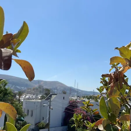 호텔 Casa Tua Butik *